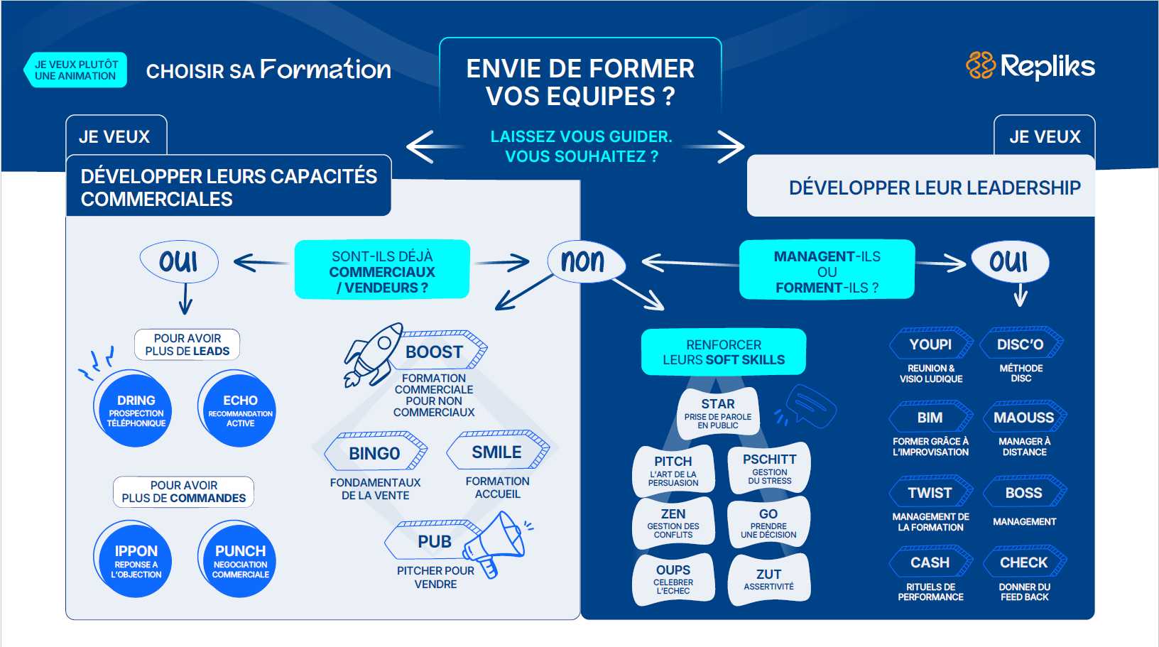 Schéma Repliks Formations